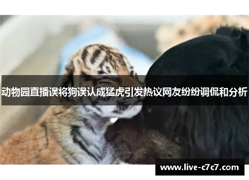 动物园直播误将狗误认成猛虎引发热议网友纷纷调侃和分析